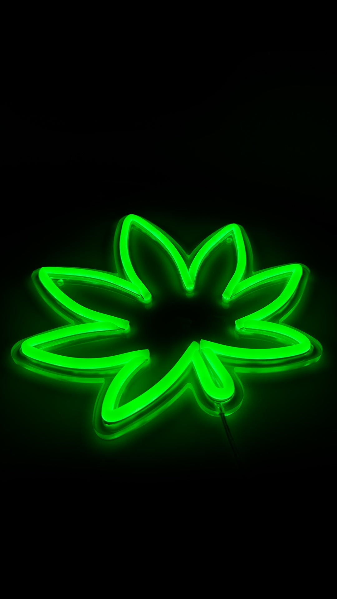 FOGLIA MARIJUANA