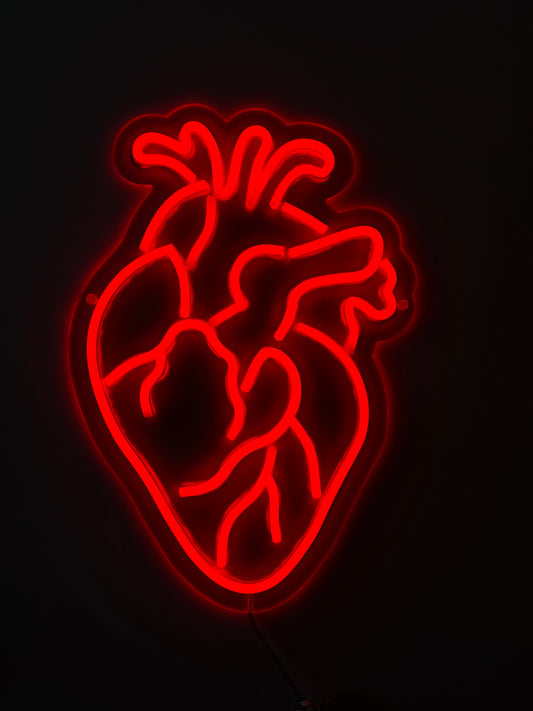 CUORE ANATOMICO