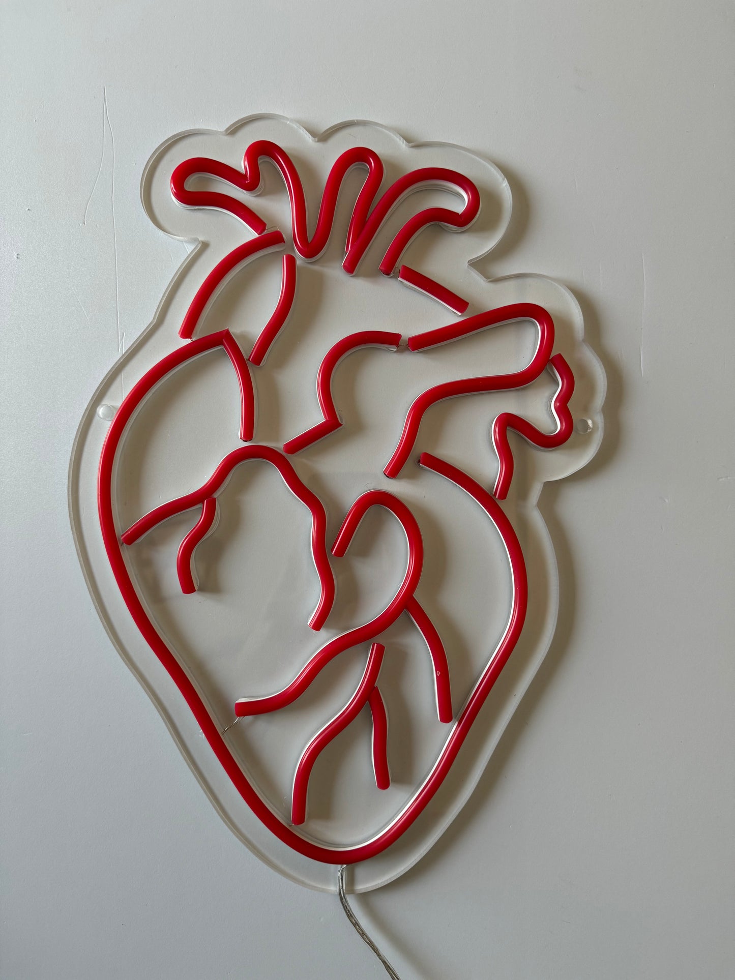 CUORE ANATOMICO